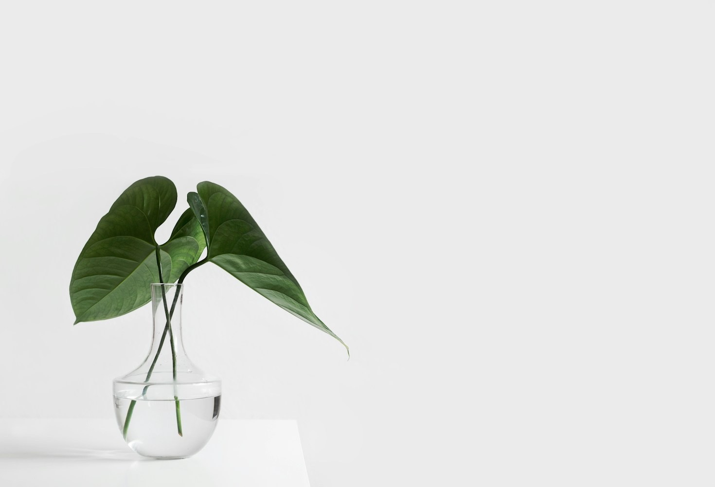 The Hidden Benefits Of Minimalist Writing